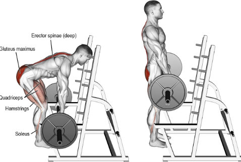 Rack-pulls para mejorar los pesos muertos